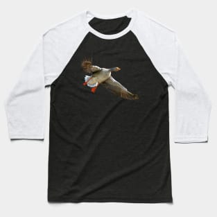 Goose coming into land Baseball T-Shirt